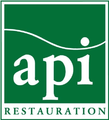 logo_api.jpg